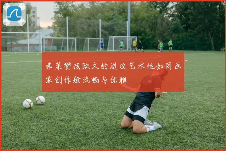 弗莱赞扬欧文的进攻艺术性如同画家创作般流畅与优雅